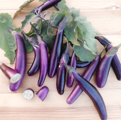 Munakoiso Pink Lady Aubergine, Баклажан Розовая Леди